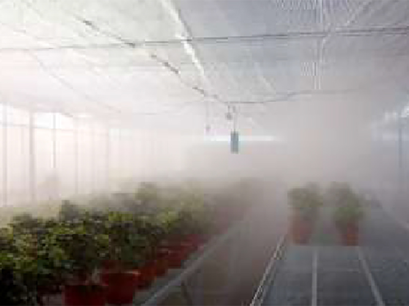 人工造雾在园林景区的应用